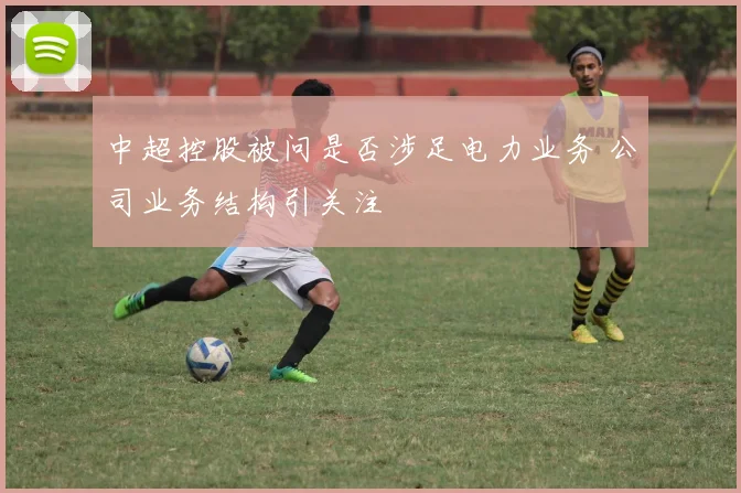 中超控股被问是否涉足电力业务 公司业务结构引关注