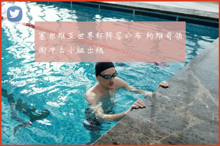 塞尔维亚世界杯阵容公布 约维奇领衔冲击小组出线