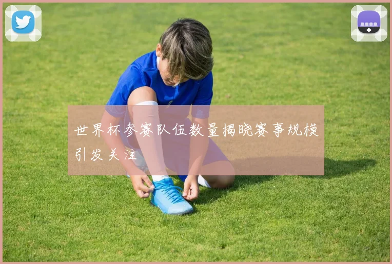 世界杯参赛队伍数量揭晓赛事规模引发关注