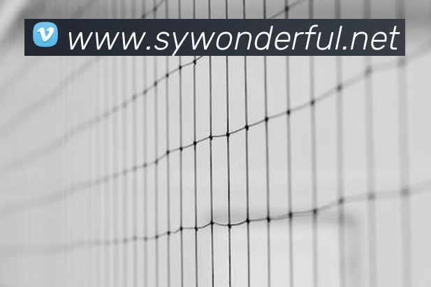 世界杯官网登录app发展历程